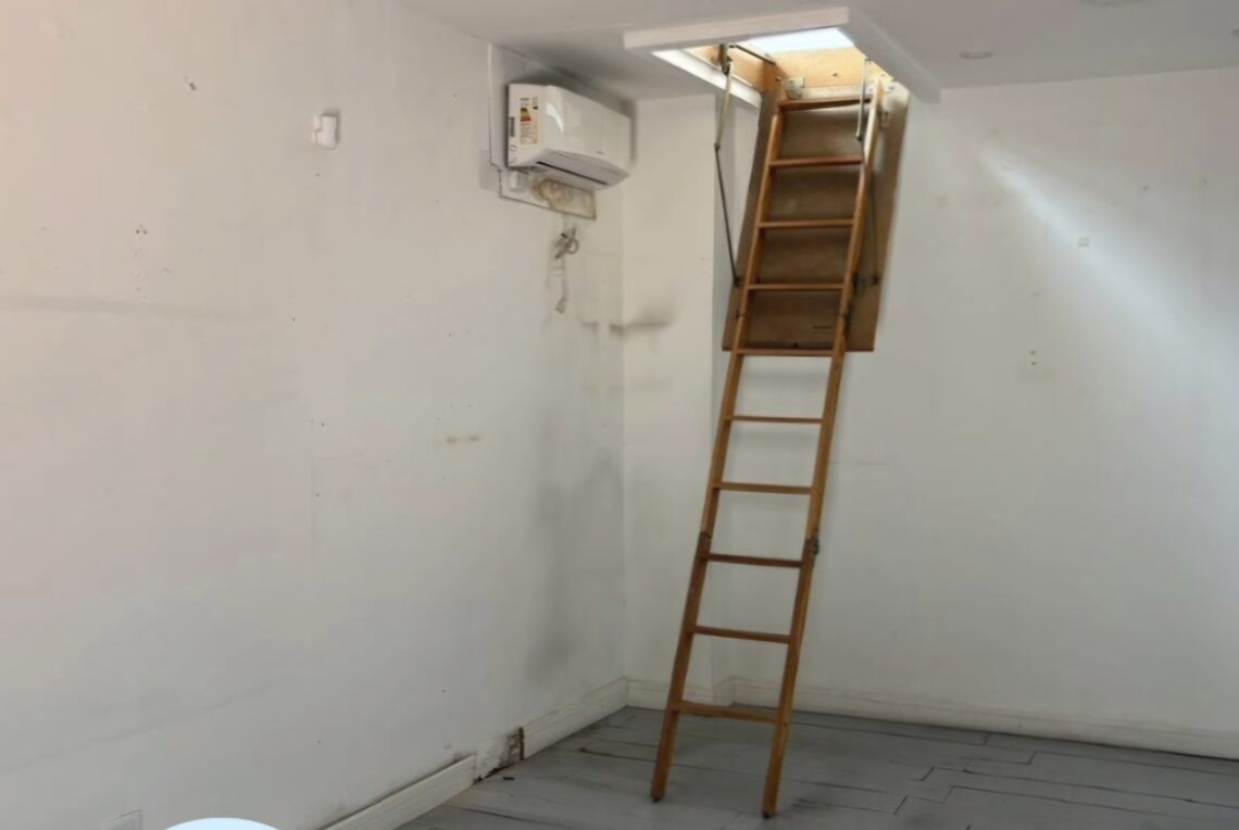 Screenshot_20260223_210012_InShot